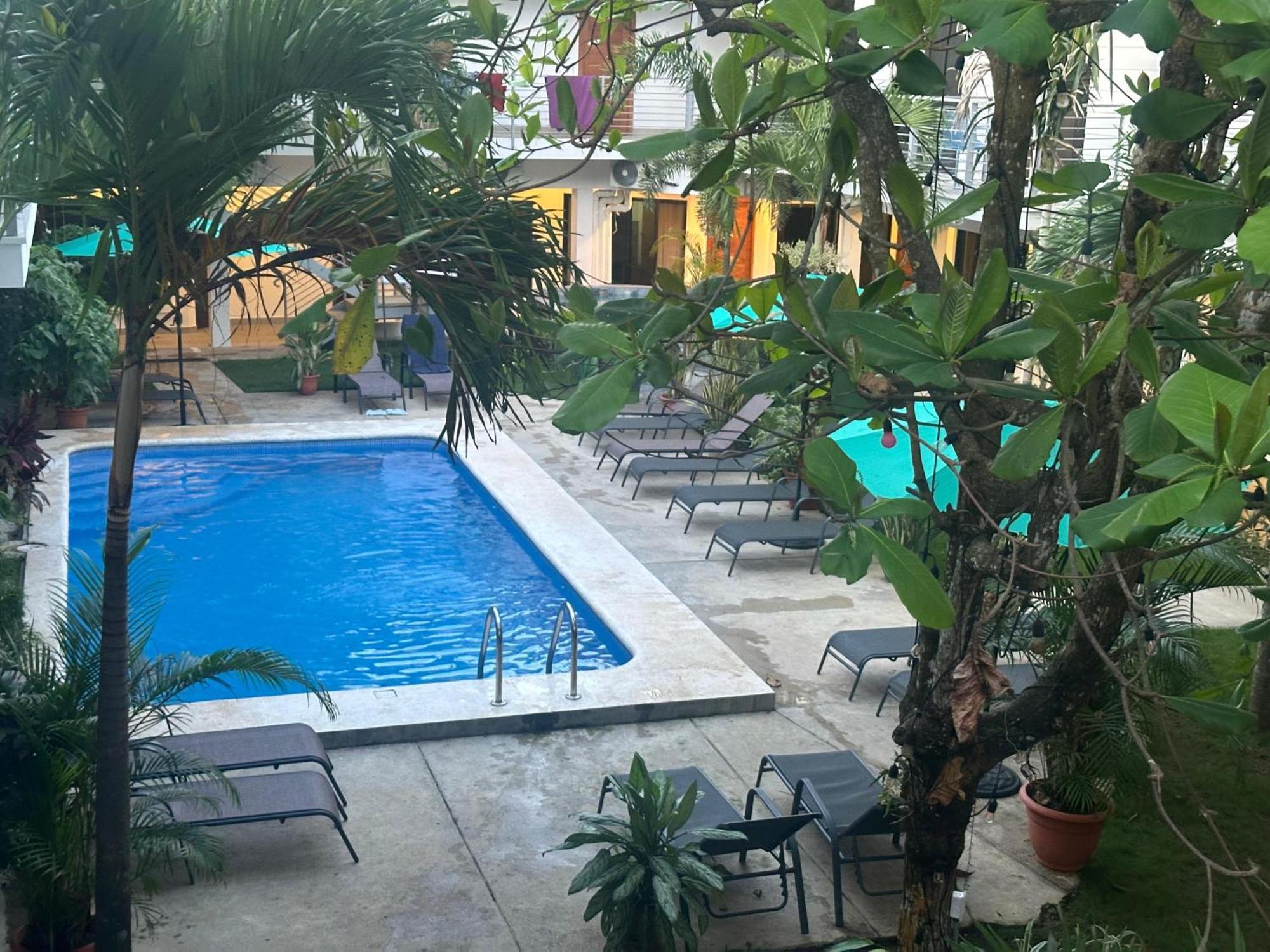 Private Fully Furnished Home At Wide Mouth Frog Hostel Quepos Dış mekan fotoğraf